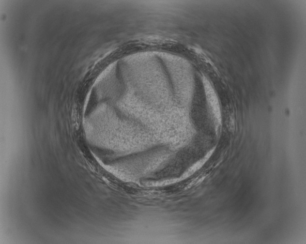 X0000080811253200701051141