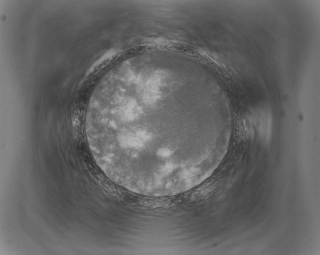 X0000080811254200701051141