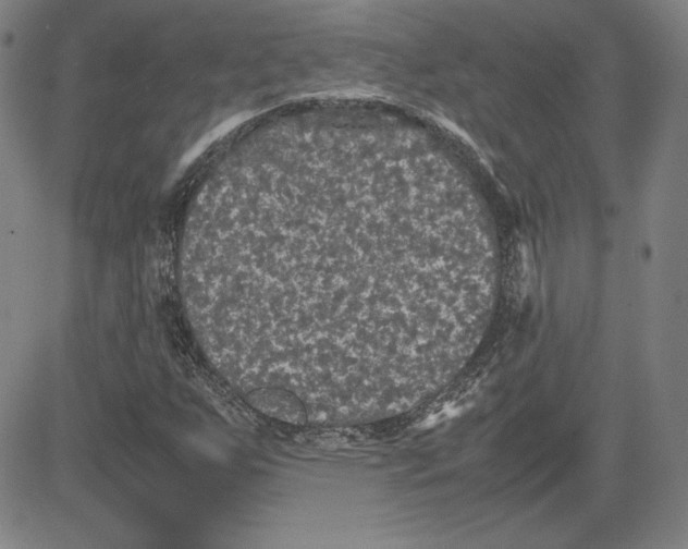 X0000080811255200701051141