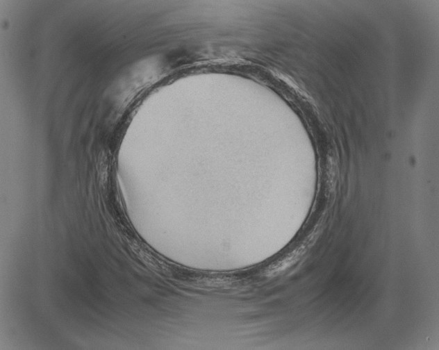 X0000080811257200701051141