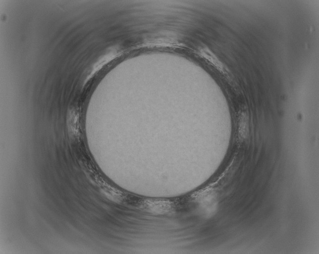 X0000080811258200701051141