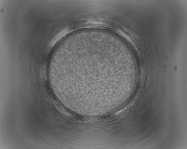 X0000080811259200701051141