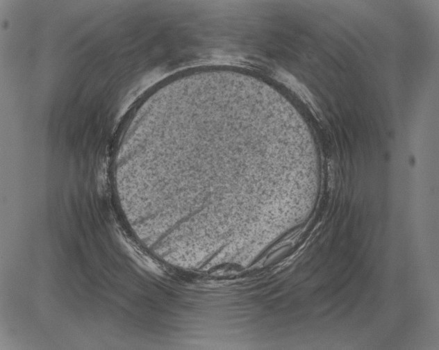 X0000080811260200701051141