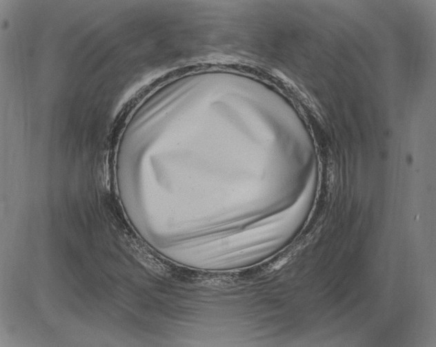 X0000080811262200701051141