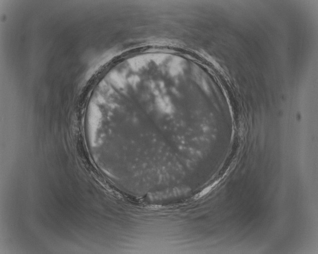 X0000080811263200701051141