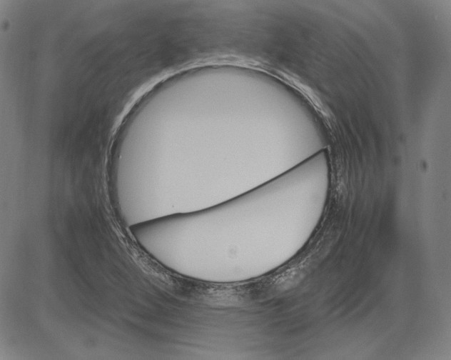 X0000080811264200701051141