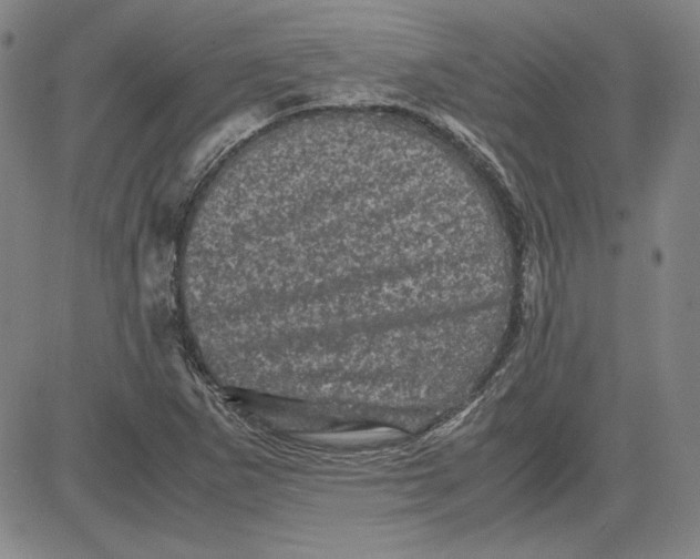 X0000080811265200701051141