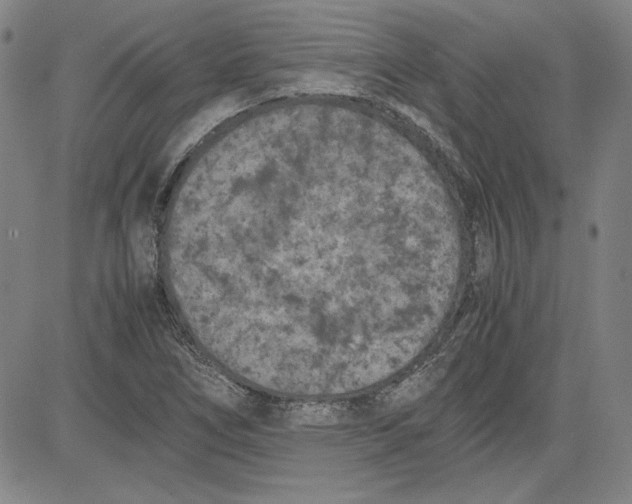 X0000080811266200701051141