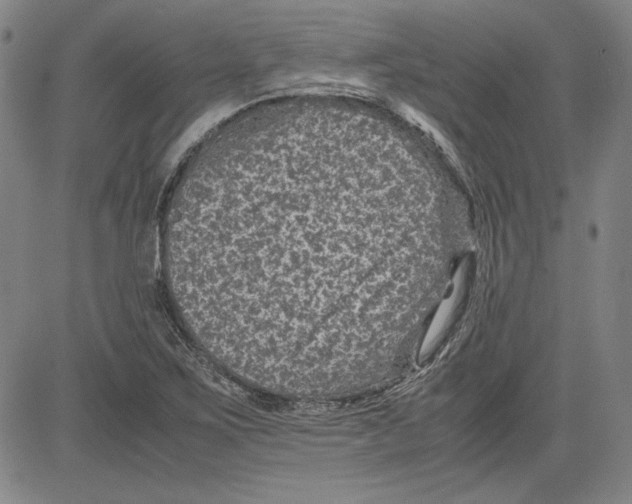 X0000080811267200701051141