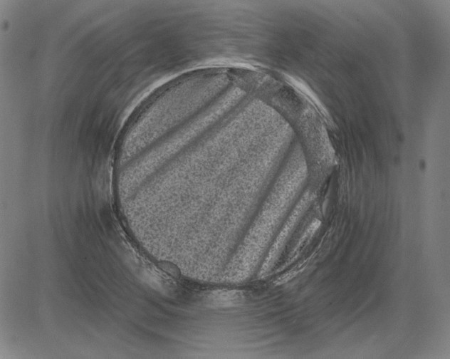 X0000080811268200701051141