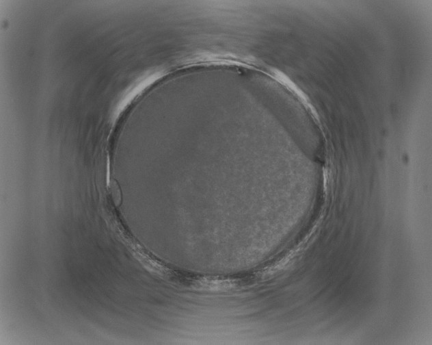 X0000080811269200701051141