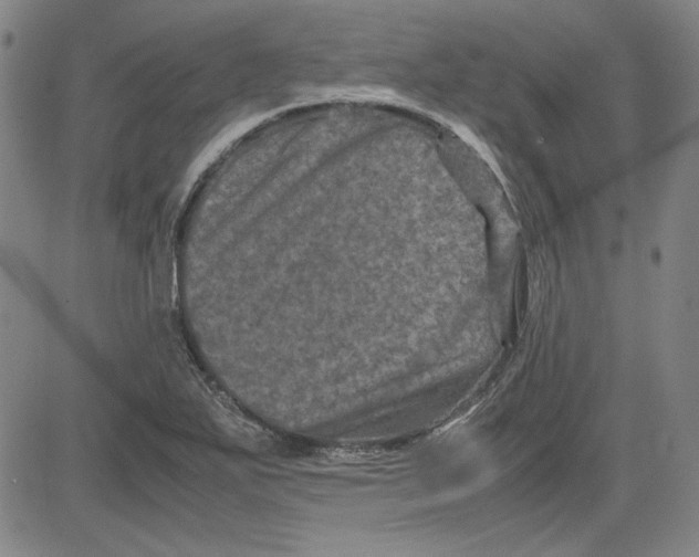 X0000080811271200701051141