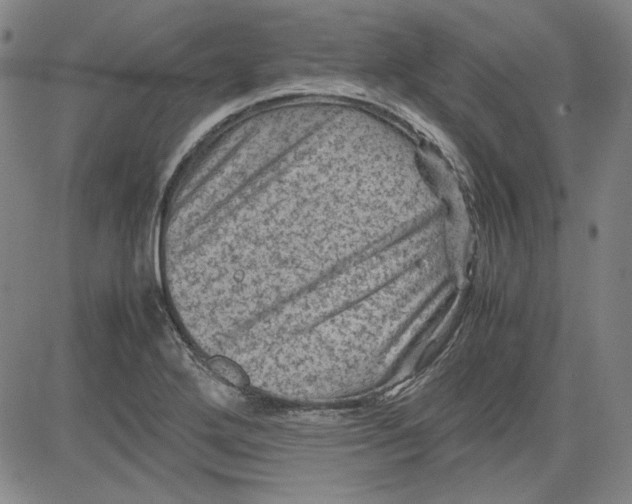 X0000080811272200701051141