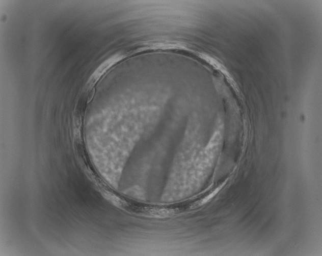 X0000080811273200701051141