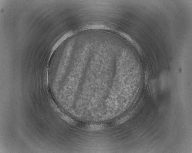 X0000080811274200701051141