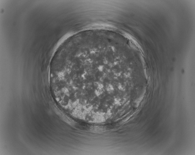 X0000080811275200701051141