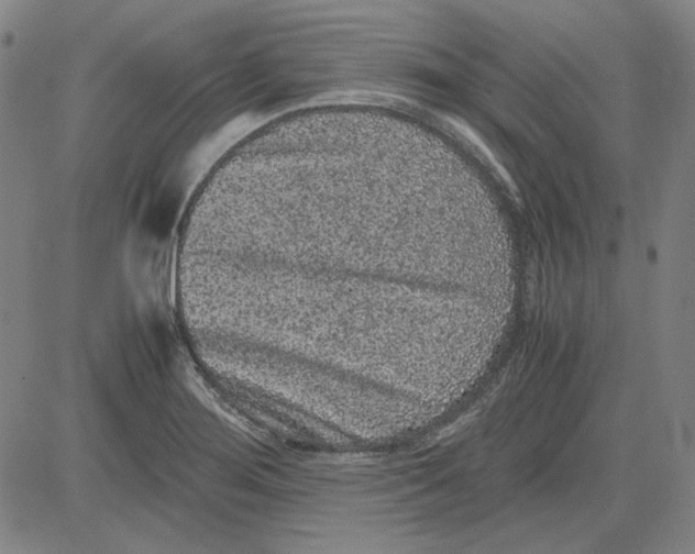 X0000080811276200701051141