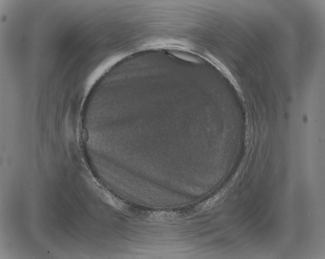 X0000080811277200701051141