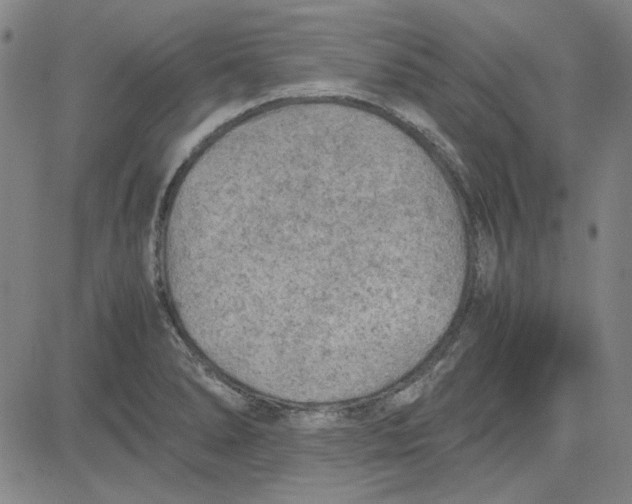 X0000080811278200701051141