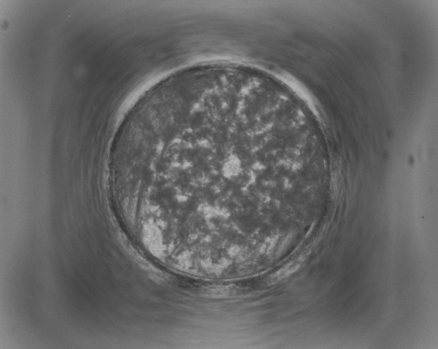 X0000080811279200701051141