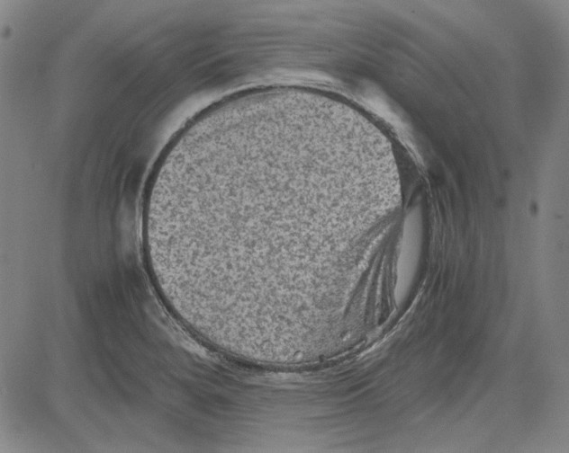 X0000080811280200701051141