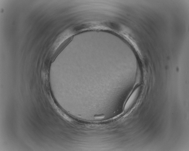 X0000080811281200701051141