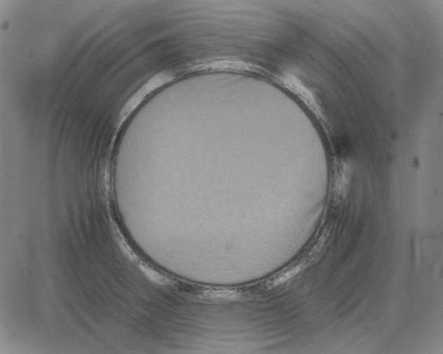 X0000080811282200701051141