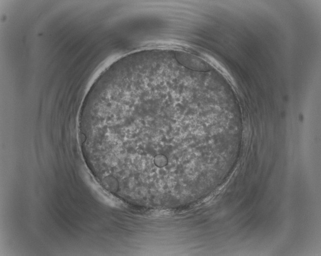 X0000080811283200701051141