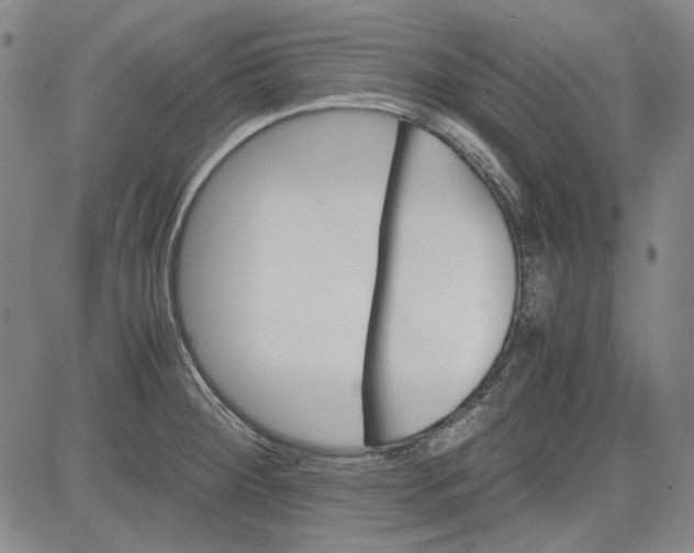 X0000080811284200701051141