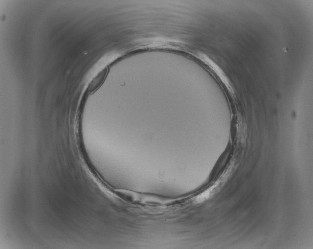 X0000080811285200701051141