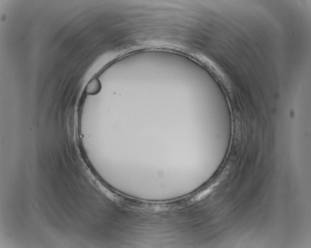 X0000080811286200701051141