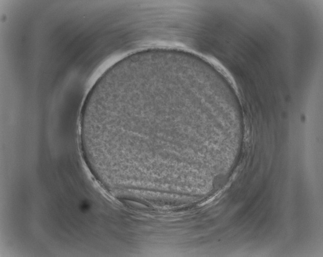 X0000080811287200701051141