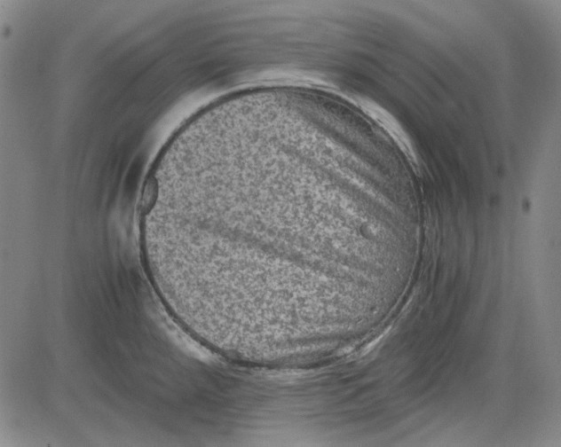 X0000080811288200701051141