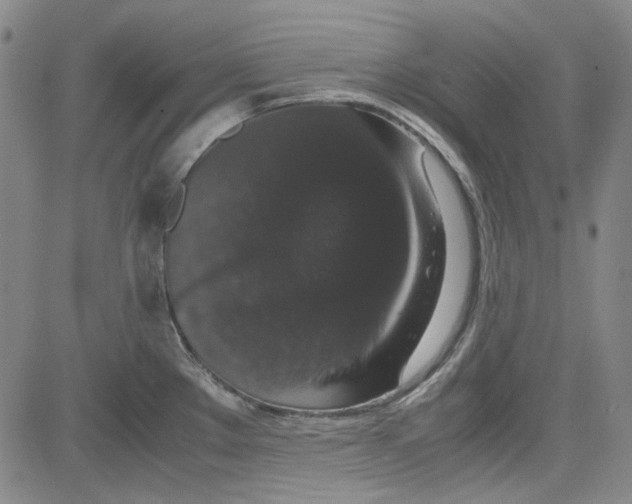 X0000080811289200701051141