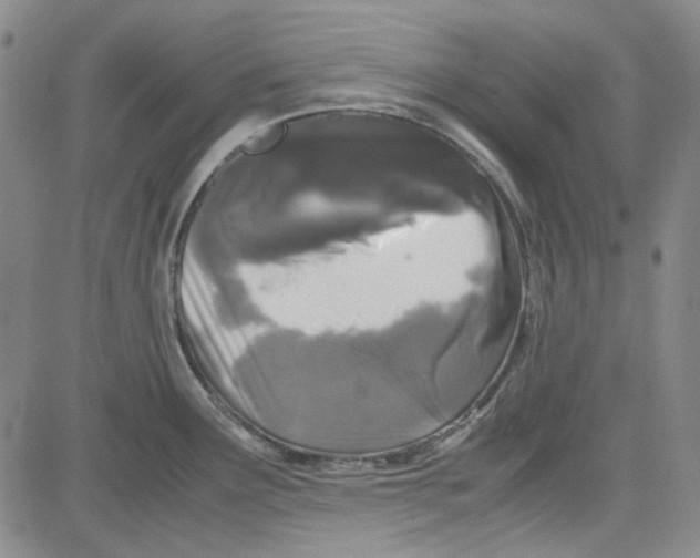 X0000080811291200701051141