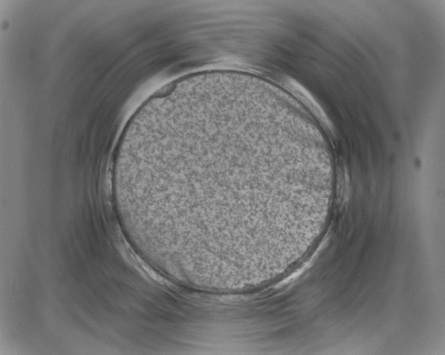 X0000080811292200701051141