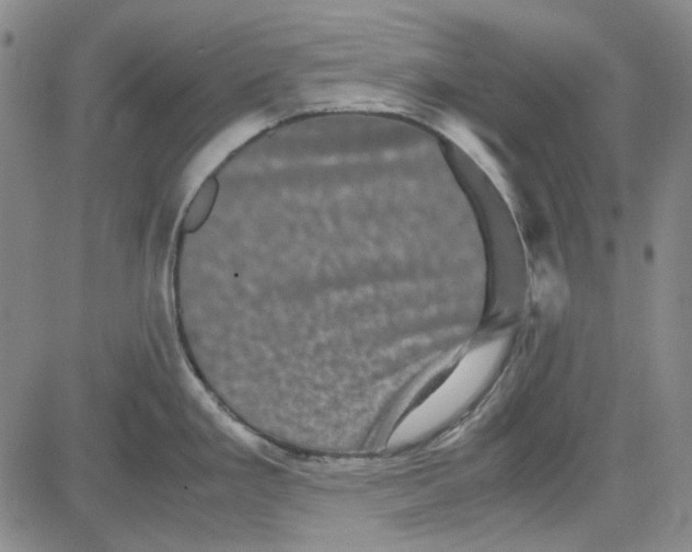 X0000080811293200701051141