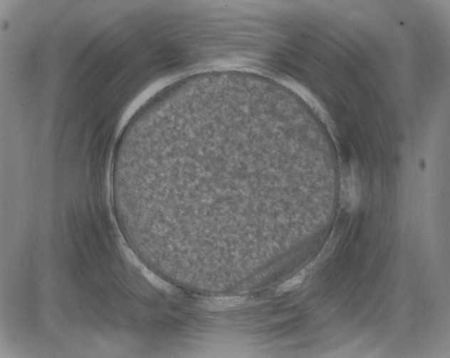 X0000080811294200701051141