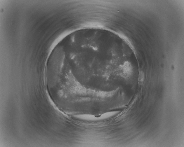 X0000080811295200701051141