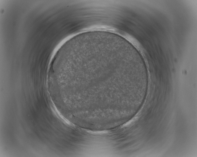 X0000080811296200701051141