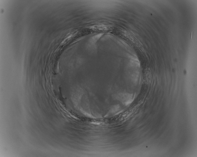 X0000080811297200701051140