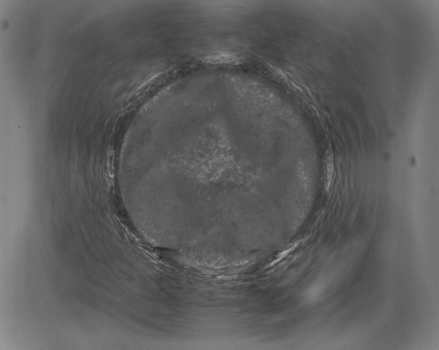 X0000080811301200701051140