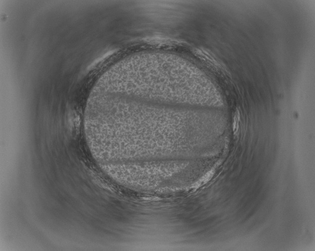 X0000080811302200701051140