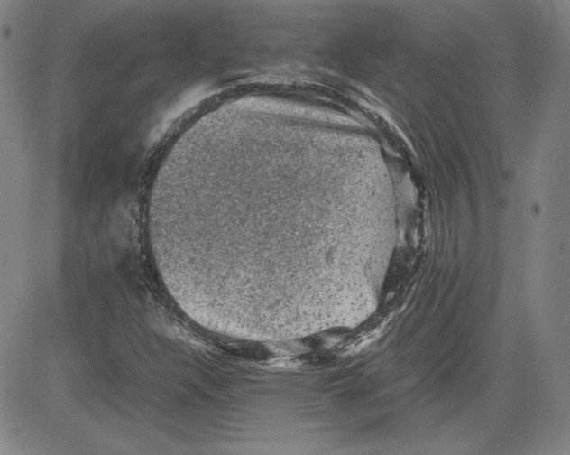 X0000080811304200701051140