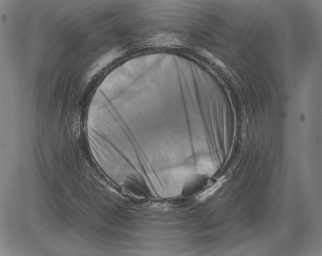 X0000080811306200701051140