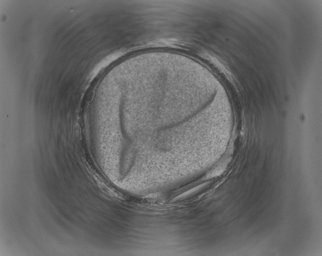 X0000080811308200701051140