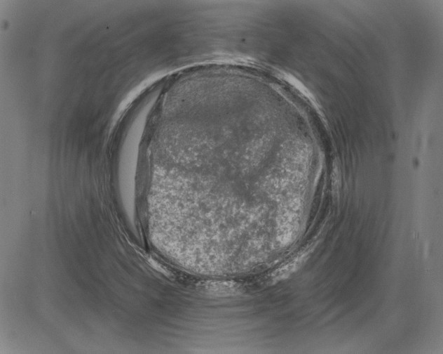 X0000080811310200701051140