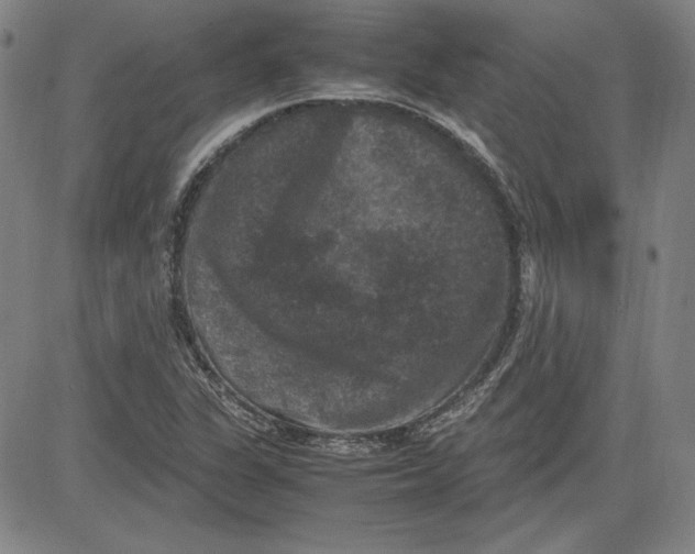 X0000080811311200701051140