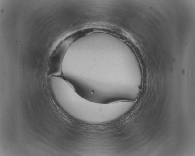 X0000080811312200701051140