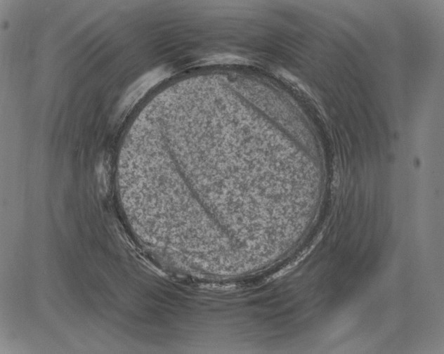 X0000080811313200701051140